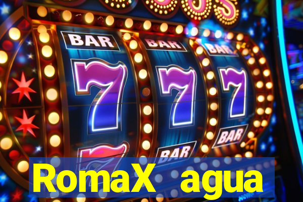 RomaX agua sanitaria fispq agua sanitaria romax